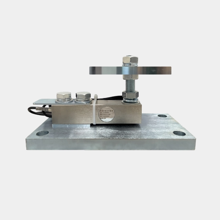 Weighing Instruments - Digital Sensors